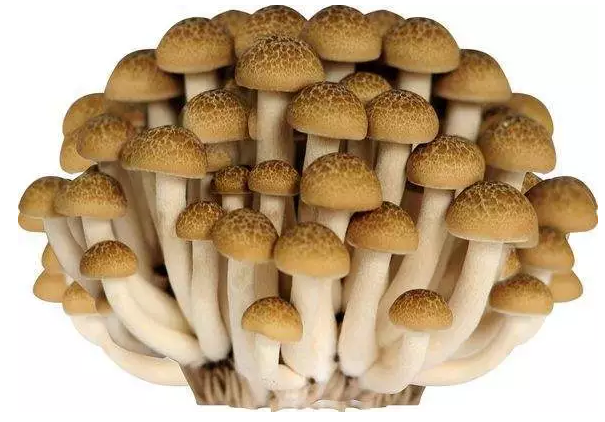 http://www.dllxbz.cn/ewebeditor/uploadfile/20170914091421667001.png